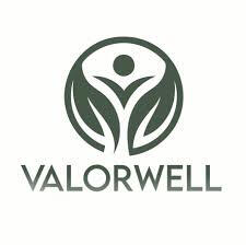 ValorWell CHAMPVA-accepted online therapy for veterans, service members, and military families.