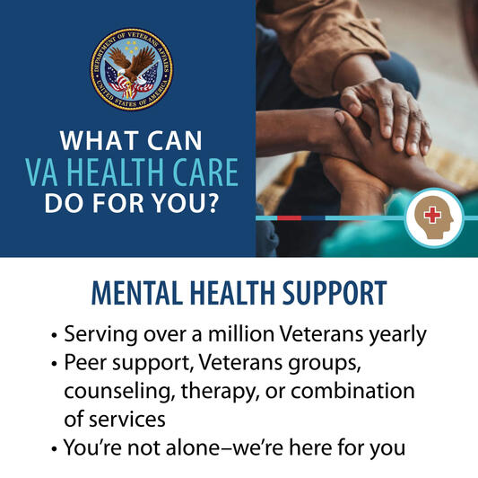 VA MENTAL HEALTH