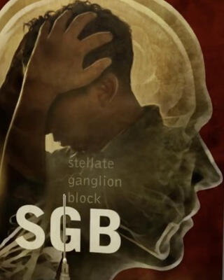 SGBforVets.com | Providing education and resources that can reduce PTSD symptoms, with hope to reduce PTSD-related suicide rates. They aspire to end the needless suffering of individuals living with PTSD by changing the narrative about the physical properties of PTSD and widely disseminating information about its available treatments.